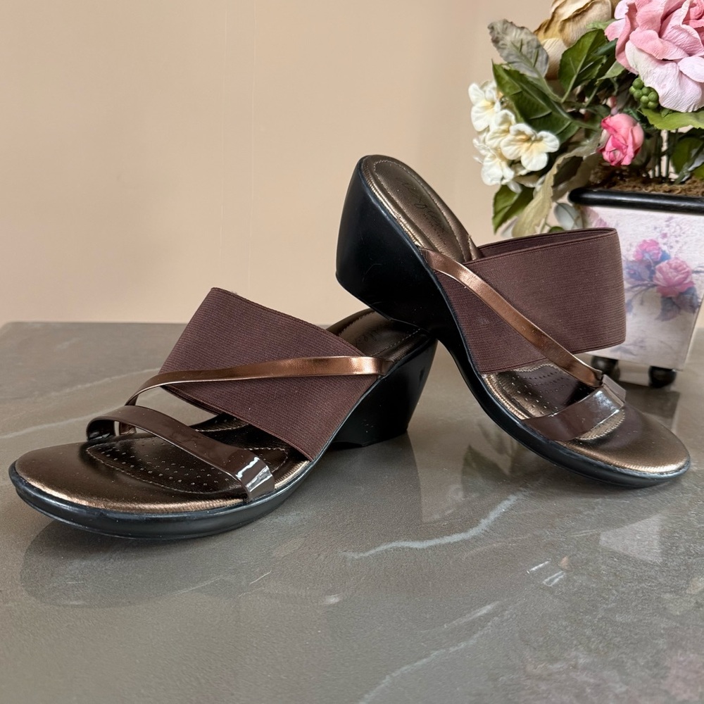 DEXTER, Women’s, Size 7, Bronze & Brown w/a Black Wedge Sandal. No Box. “EUC”